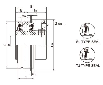 SER2 Chrome Steel Bearing Insert With Setscrew Locking dw.jpg